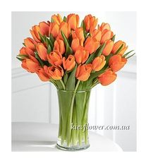 Bouquet of 31 orange tulips